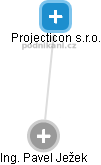 Projecticon s.r.o. - náhled vizuálního zobrazení vztahů obchodního rejstříku