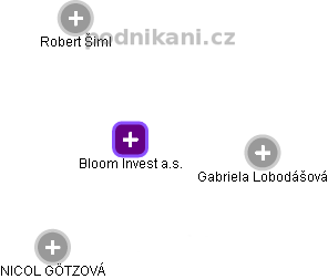 Bloom Invest a.s. - náhled vizuálního zobrazení vztahů obchodního rejstříku