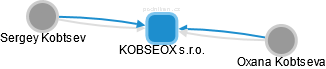 KOBSEOX s.r.o. - náhled vizuálního zobrazení vztahů obchodního rejstříku