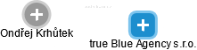 True Blue Agency s.r.o. - náhled vizuálního zobrazení vztahů obchodního rejstříku