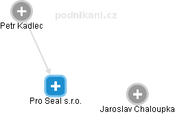 Pro Seal s.r.o. - náhled vizuálního zobrazení vztahů obchodního rejstříku