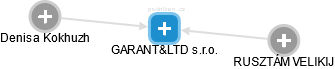 GARANT&LTD s.r.o. - náhled vizuálního zobrazení vztahů obchodního rejstříku