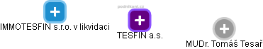 TESFIN a.s. - náhled vizuálního zobrazení vztahů obchodního rejstříku
