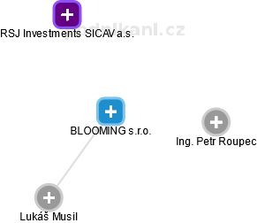 BLOOMING s.r.o. - náhled vizuálního zobrazení vztahů obchodního rejstříku