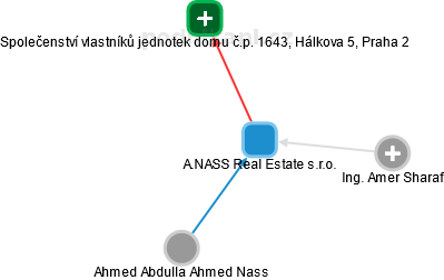 A.NASS Real Estate s.r.o. - náhled vizuálního zobrazení vztahů obchodního rejstříku