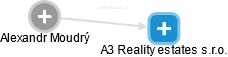 A3 Reality estates s.r.o. - náhled vizuálního zobrazení vztahů obchodního rejstříku