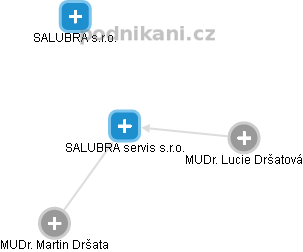 SALUBRA servis s.r.o. - náhled vizuálního zobrazení vztahů obchodního rejstříku