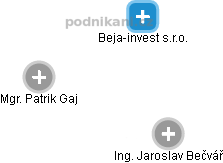 Beja-invest s.r.o. - náhled vizuálního zobrazení vztahů obchodního rejstříku