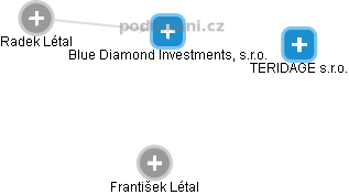 Blue Diamond Investments, s.r.o. - náhled vizuálního zobrazení vztahů obchodního rejstříku