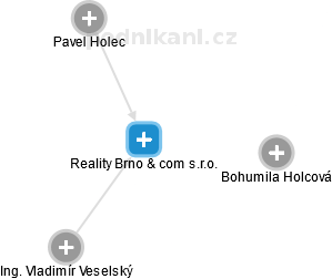 Reality Brno & com s.r.o. - náhled vizuálního zobrazení vztahů obchodního rejstříku
