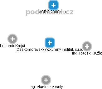 Českomoravský výzkumný institut, s.r.o. - náhled vizuálního zobrazení vztahů obchodního rejstříku