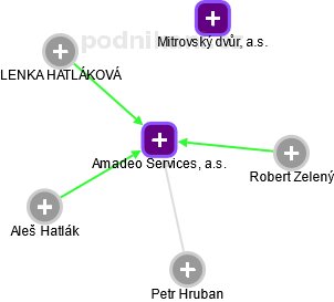 Amadeo Services, a.s. - náhled vizuálního zobrazení vztahů obchodního rejstříku