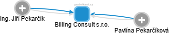 Billing Consult s.r.o. - náhled vizuálního zobrazení vztahů obchodního rejstříku