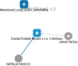 Dental Estetik Studio s.r.o. v likvidaci - náhled vizuálního zobrazení vztahů obchodního rejstříku
