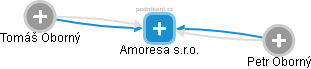Amoresa s.r.o. - náhled vizuálního zobrazení vztahů obchodního rejstříku