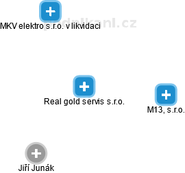 Real gold servis s.r.o. - náhled vizuálního zobrazení vztahů obchodního rejstříku