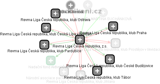 Revma Liga Česká republika, z.s. - náhled vizuálního zobrazení vztahů obchodního rejstříku