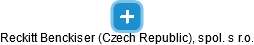 Reckitt Benckiser (Czech Republic), spol. s r.o. - náhled vizuálního zobrazení vztahů obchodního rejstříku