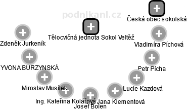Tělocvičná jednota Sokol Veltěž - náhled vizuálního zobrazení vztahů obchodního rejstříku