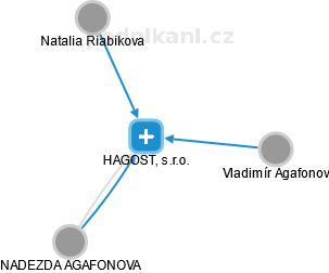 HAGOST, s.r.o. - náhled vizuálního zobrazení vztahů obchodního rejstříku
