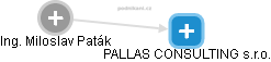 PALLAS CONSULTING s.r.o. - náhled vizuálního zobrazení vztahů obchodního rejstříku