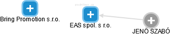 EAS spol. s r.o. - náhled vizuálního zobrazení vztahů obchodního rejstříku