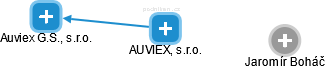 AUVIEX, s.r.o. - náhled vizuálního zobrazení vztahů obchodního rejstříku