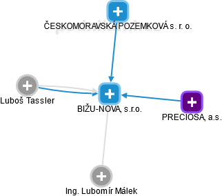 BIŽU-NOVA, s.r.o. - náhled vizuálního zobrazení vztahů obchodního rejstříku