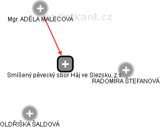 Smíšený pěvecký sbor Háj ve Slezsku, z.s. - náhled vizuálního zobrazení vztahů obchodního rejstříku