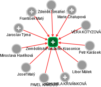 Zemědělské družstvo Krasonice - náhled vizuálního zobrazení vztahů obchodního rejstříku