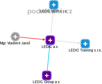 LEDIC a.s. - náhled vizuálního zobrazení vztahů obchodního rejstříku