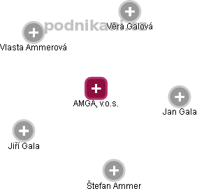 AMGA, v.o.s. - náhled vizuálního zobrazení vztahů obchodního rejstříku