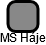 MS Háje - náhled vizuálního zobrazení vztahů obchodního rejstříku