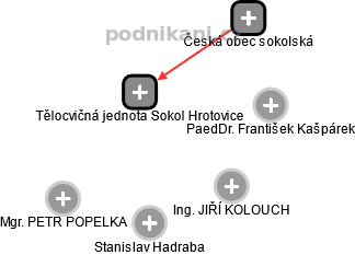 Tělocvičná jednota Sokol Hrotovice - náhled vizuálního zobrazení vztahů obchodního rejstříku