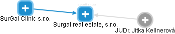Surgal real estate, s.r.o. - náhled vizuálního zobrazení vztahů obchodního rejstříku