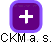 CKM a. s. - náhled vizuálního zobrazení vztahů obchodního rejstříku