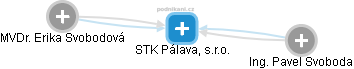 STK Pálava, s.r.o. - náhled vizuálního zobrazení vztahů obchodního rejstříku