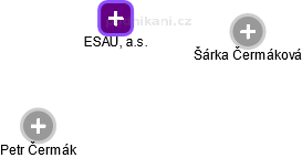 ESAUL, a.s. - náhled vizuálního zobrazení vztahů obchodního rejstříku
