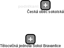 Tělocvičná jednota Sokol Bravantice - náhled vizuálního zobrazení vztahů obchodního rejstříku
