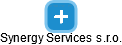 Synergy Services s.r.o. - náhled vizuálního zobrazení vztahů obchodního rejstříku