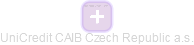 UniCredit CAIB Czech Republic a.s. - náhled vizuálního zobrazení vztahů obchodního rejstříku