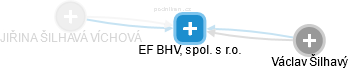 EF BHV, spol. s r.o. - náhled vizuálního zobrazení vztahů obchodního rejstříku