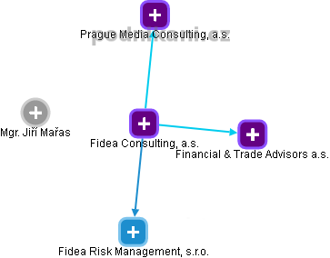 Fidea Consulting, a.s. - náhled vizuálního zobrazení vztahů obchodního rejstříku
