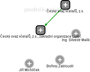 Český svaz včelařů, z.s., základní organizace Luleč - náhled vizuálního zobrazení vztahů obchodního rejstříku