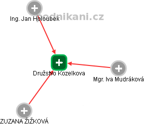 Družstvo Kozelkova - náhled vizuálního zobrazení vztahů obchodního rejstříku