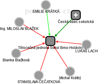 Tělocvičná jednota Sokol Brno-Holásky - náhled vizuálního zobrazení vztahů obchodního rejstříku