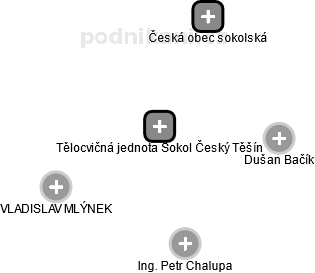 Tělocvičná jednota Sokol Český Těšín - náhled vizuálního zobrazení vztahů obchodního rejstříku