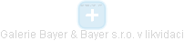 Galerie Bayer & Bayer s.r.o. v likvidaci - náhled vizuálního zobrazení vztahů obchodního rejstříku