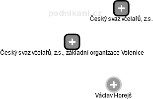 Český svaz včelařů, z.s., základní organizace Volenice - náhled vizuálního zobrazení vztahů obchodního rejstříku
