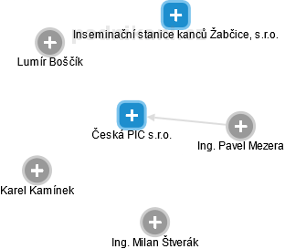Česká PIC s.r.o. - náhled vizuálního zobrazení vztahů obchodního rejstříku